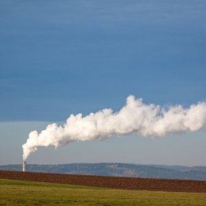 Roteiro para a Neutralidade Carbónica